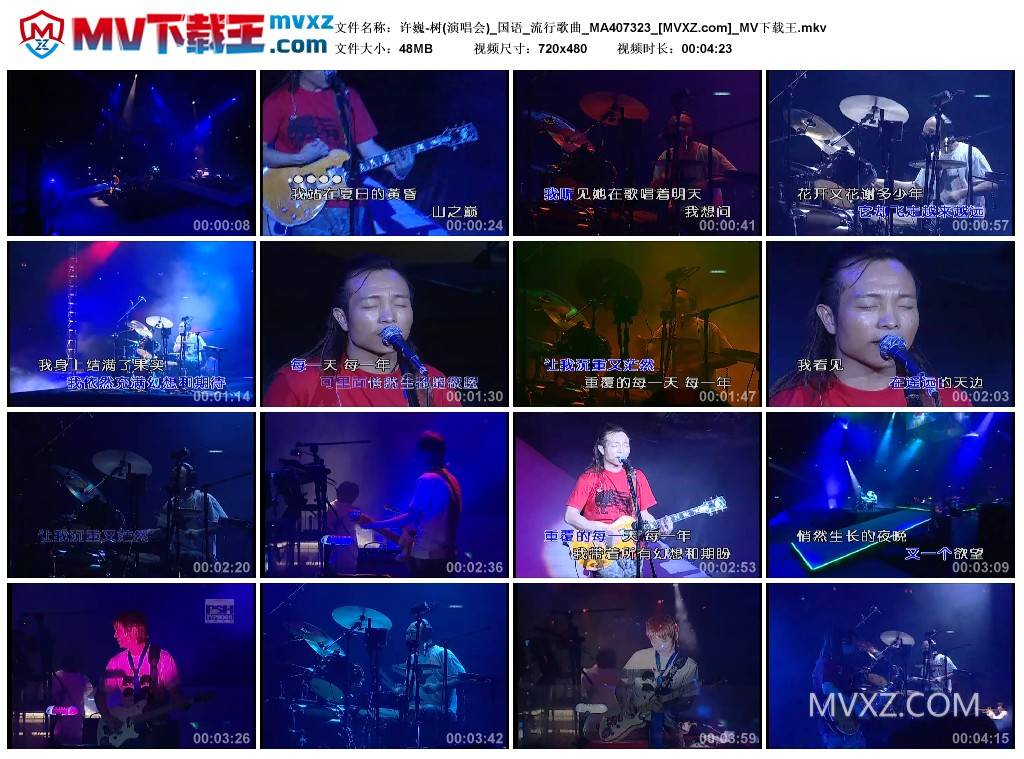 许巍-树(演唱会)_国语_流行歌曲_MA407323